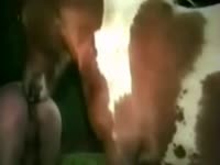 Spotted pony is trying to fuck a slender zoophile